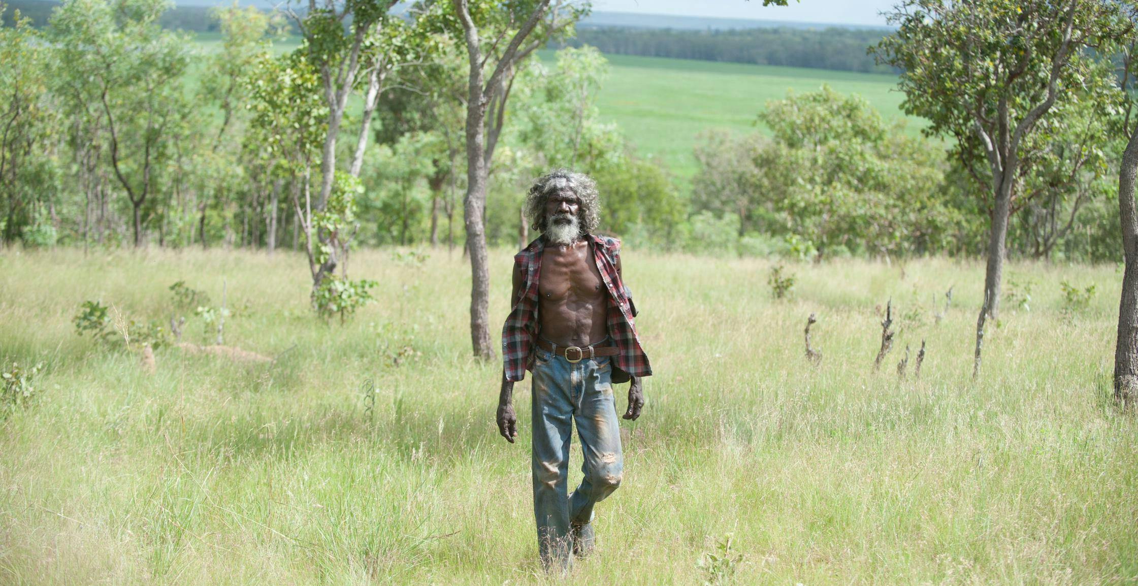 Charlie's Country