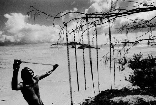 Trent Parke: The Black Rose