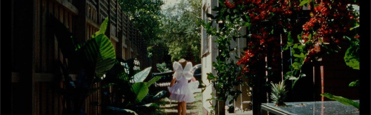 The Squatters and the Fairy Princess