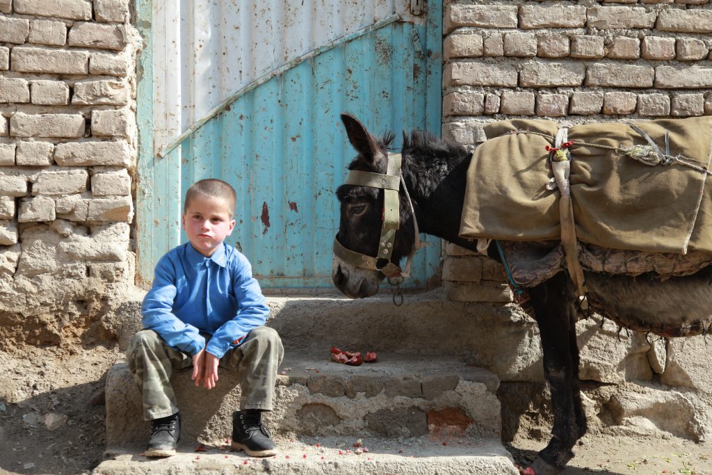 A boy sitting next to a donkey